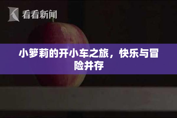 小箩莉的开小车之旅，快乐与冒险并存