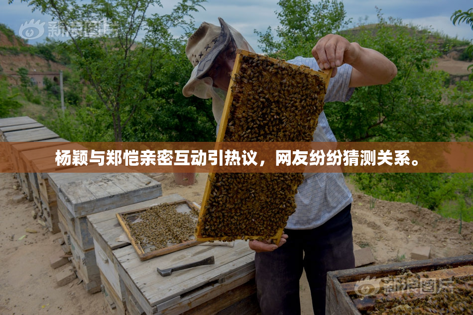 杨颖与郑恺亲密互动引热议，网友纷纷猜测关系。