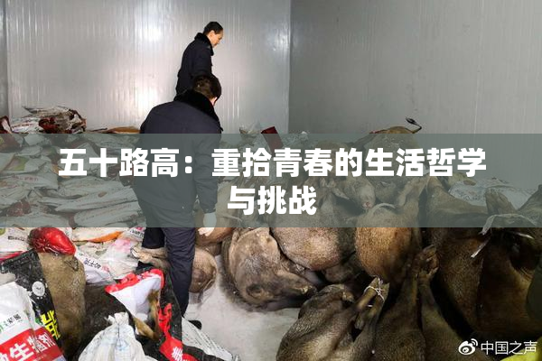 五十路高：重拾青春的生活哲学与挑战