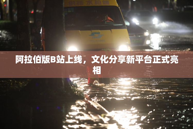 阿拉伯版B站上线，文化分享新平台正式亮相