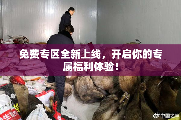 免费专区全新上线，开启你的专属福利体验！