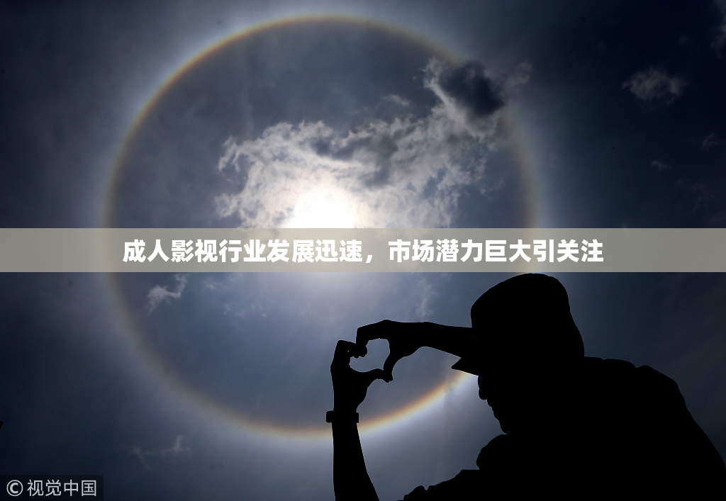 成人影视行业发展迅速，市场潜力巨大引关注