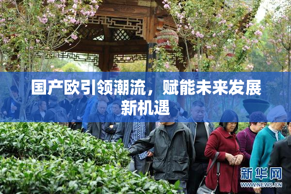 国产欧引领潮流，赋能未来发展新机遇
