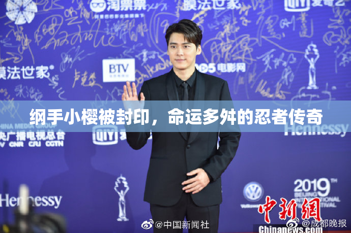 纲手小樱被封印，命运多舛的忍者传奇