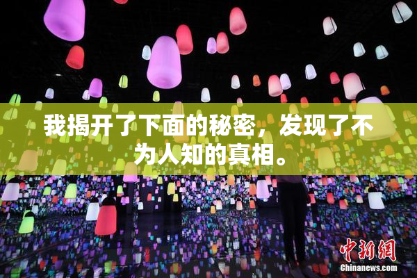 我揭开了下面的秘密，发现了不为人知的真相。