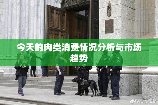 今天的肉类消费情况分析与市场趋势