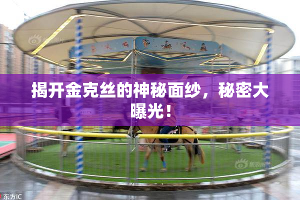 揭开金克丝的神秘面纱，秘密大曝光！