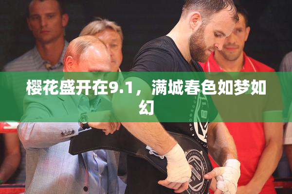 樱花盛开在9.1，满城春色如梦如幻