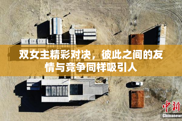 双女主精彩对决，彼此之间的友情与竞争同样吸引人