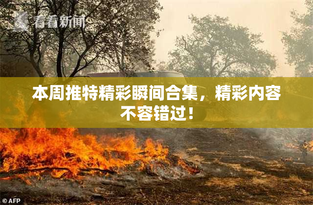 本周推特精彩瞬间合集，精彩内容不容错过！