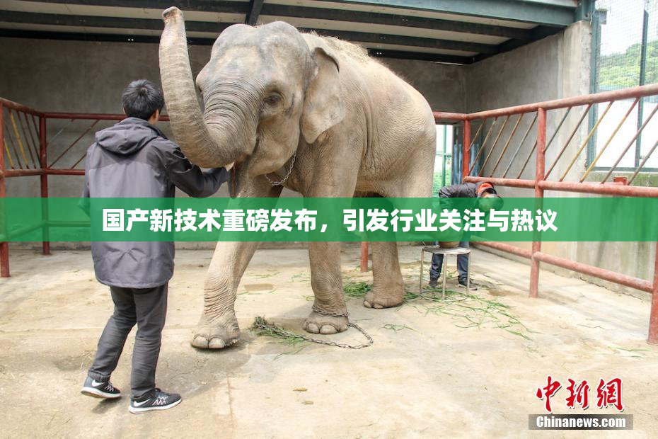 国产新技术重磅发布，引发行业关注与热议