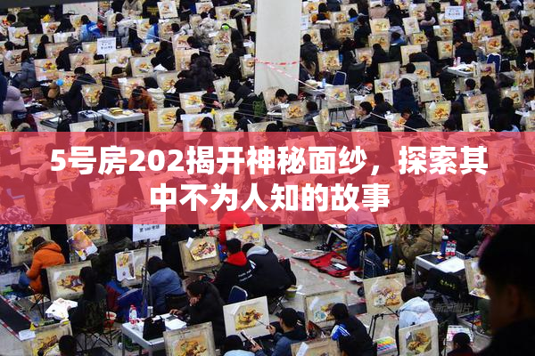 5号房202揭开神秘面纱，探索其中不为人知的故事