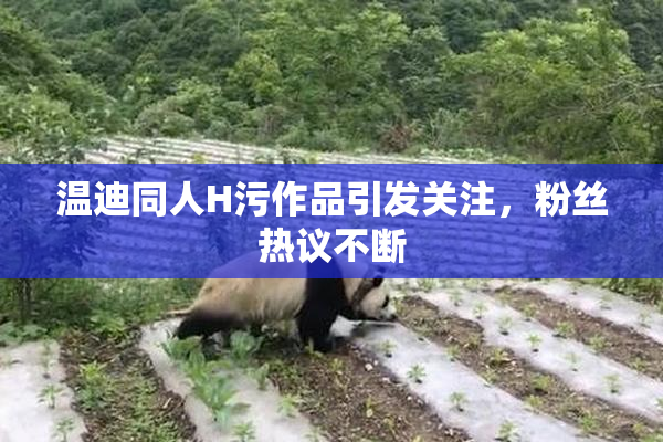 温迪同人H污作品引发关注，粉丝热议不断