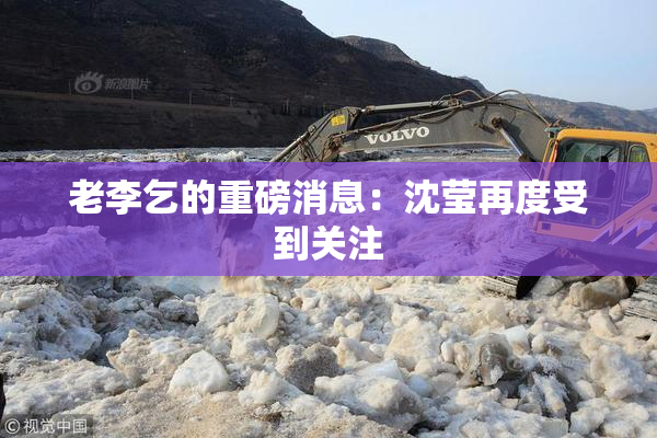 老李乞的重磅消息：沈莹再度受到关注