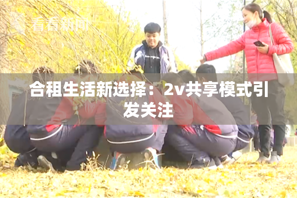合租生活新选择：2v共享模式引发关注