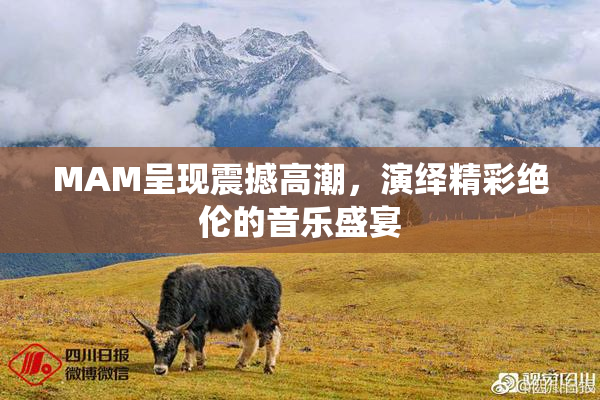 MAM呈现震撼高潮，演绎精彩绝伦的音乐盛宴