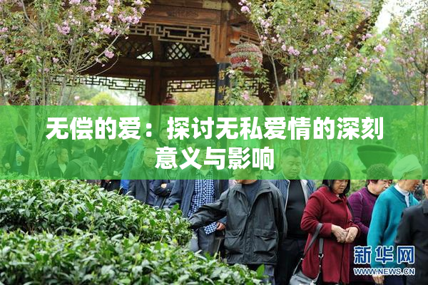 无偿的爱：探讨无私爱情的深刻意义与影响