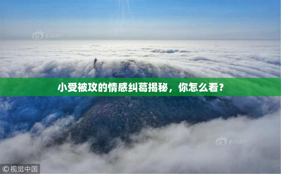 小受被攻的情感纠葛揭秘，你怎么看？