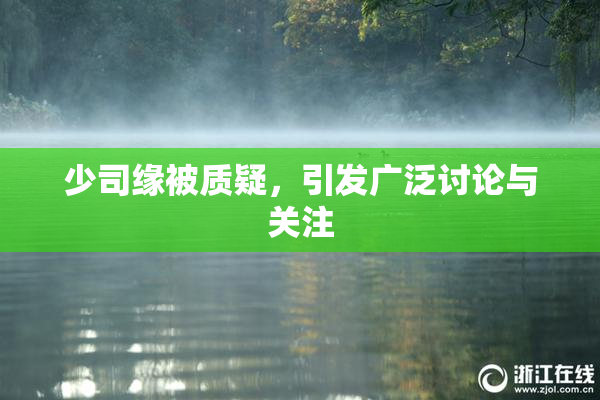 少司缘被质疑，引发广泛讨论与关注