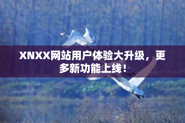 XNXX网站用户体验大升级，更多新功能上线！