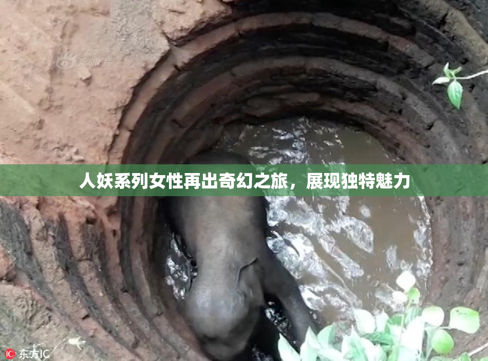 人妖系列女性再出奇幻之旅，展现独特魅力