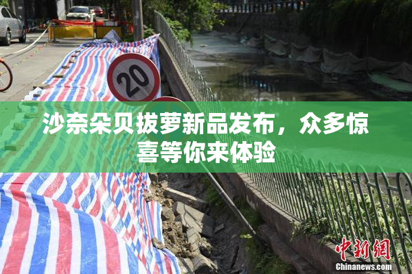 沙奈朵贝拔萝新品发布，众多惊喜等你来体验