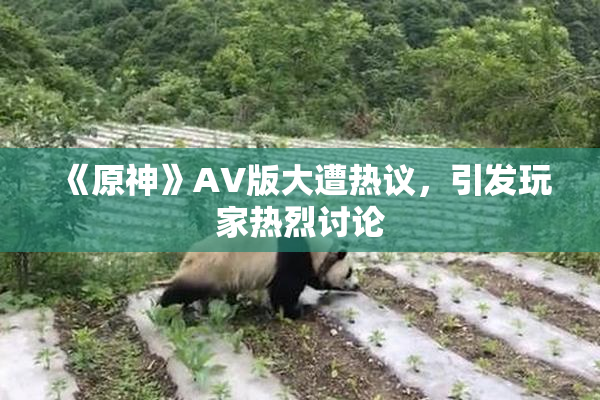 《原神》AV版大遭热议，引发玩家热烈讨论