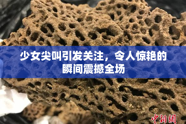 少女尖叫引发关注，令人惊艳的瞬间震撼全场
