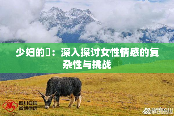 少妇的婬：深入探讨女性情感的复杂性与挑战