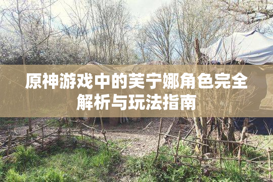 原神游戏中的芙宁娜角色完全解析与玩法指南