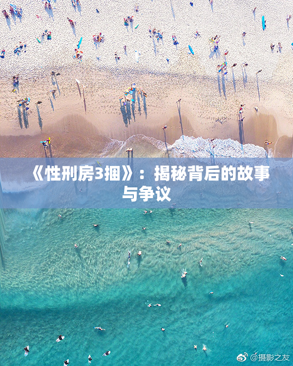 《性刑房3捆》：揭秘背后的故事与争议