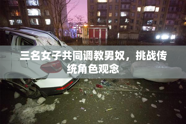 三名女子共同调教男奴，挑战传统角色观念