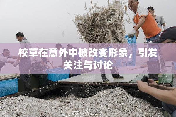 校草在意外中被改变形象，引发关注与讨论