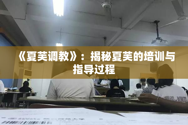 《夏芙调教》：揭秘夏芙的培训与指导过程
