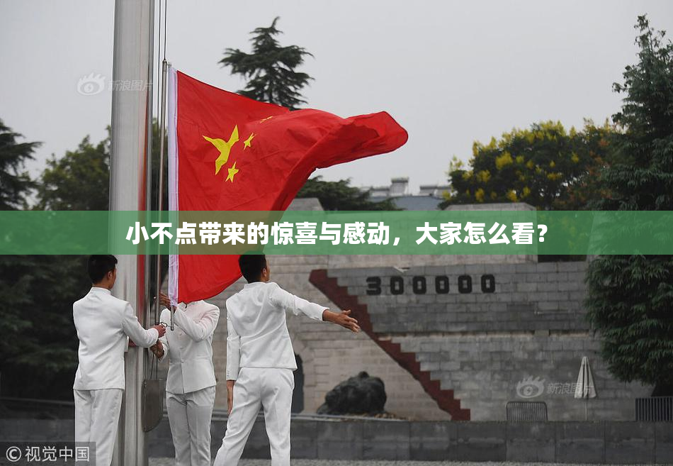 小不点带来的惊喜与感动，大家怎么看？