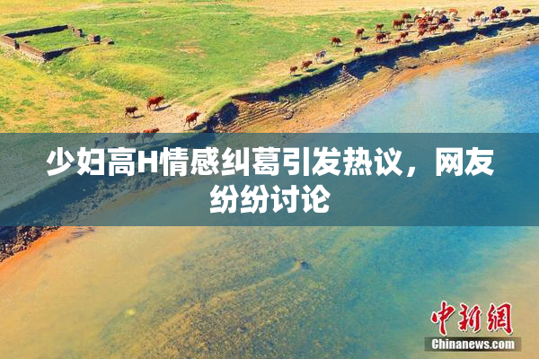 少妇高H情感纠葛引发热议，网友纷纷讨论