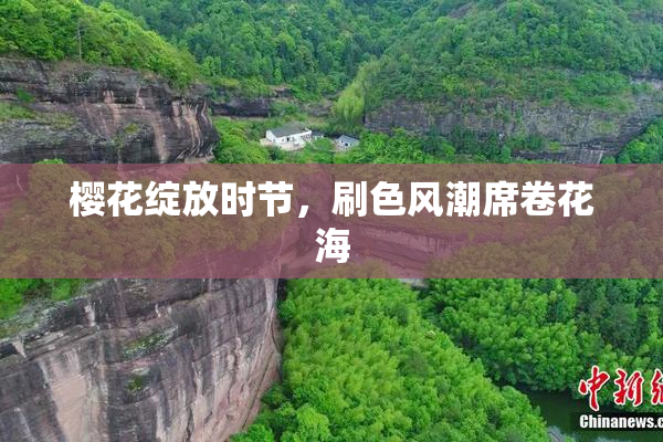 樱花绽放时节，刷色风潮席卷花海