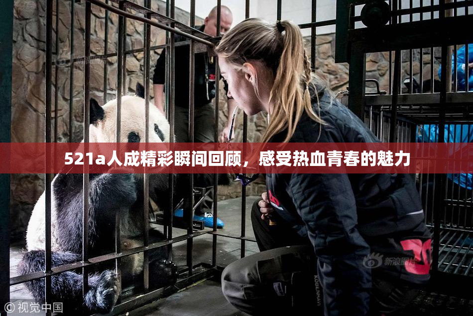 521a人成精彩瞬间回顾，感受热血青春的魅力