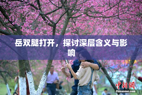 岳双腿打开，探讨深层含义与影响