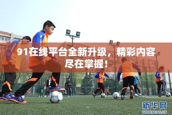 91在线平台全新升级，精彩内容尽在掌握！