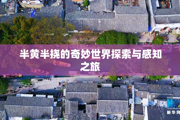 半黄半挠的奇妙世界探索与感知之旅