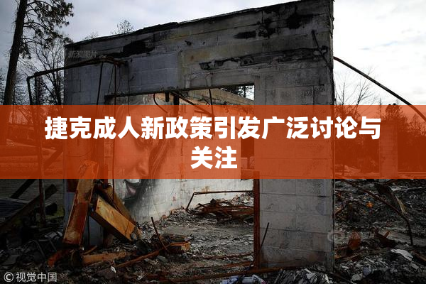捷克成人新政策引发广泛讨论与关注