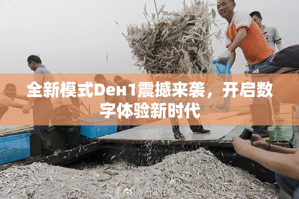 全新模式Dен1震撼来袭，开启数字体验新时代