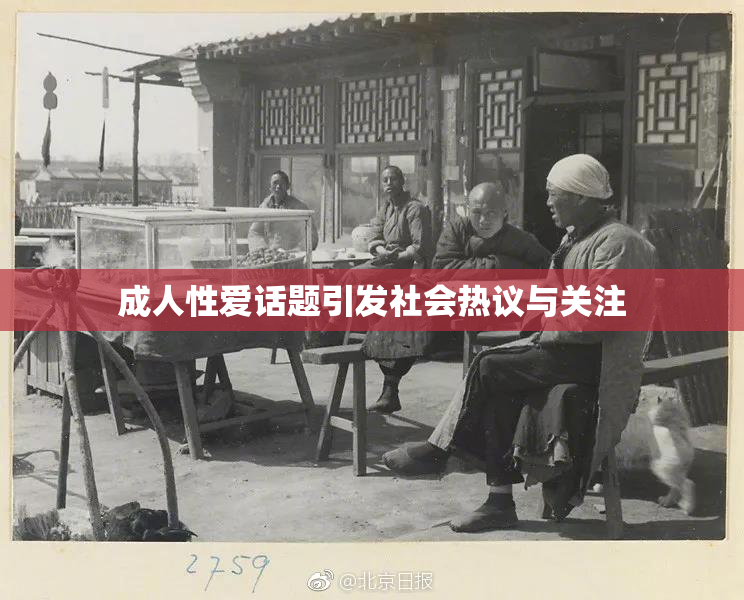 成人性爱话题引发社会热议与关注