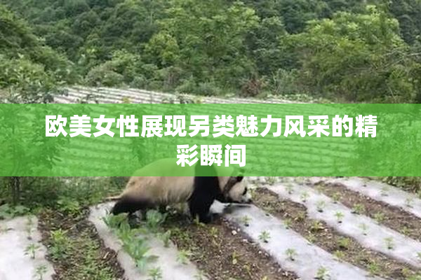 欧美女性展现另类魅力风采的精彩瞬间
