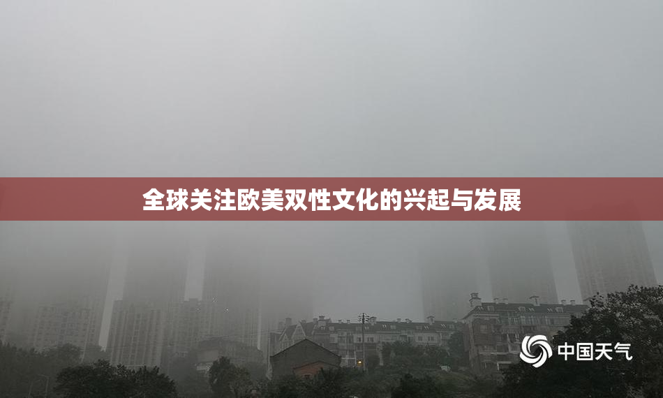 全球关注欧美双性文化的兴起与发展