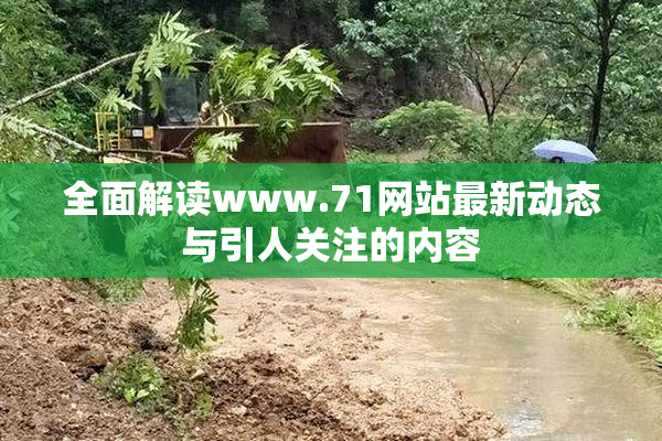 全面解读www.71网站最新动态与引人关注的内容