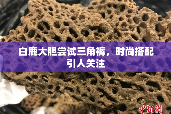 白鹿大胆尝试三角裤，时尚搭配引人关注