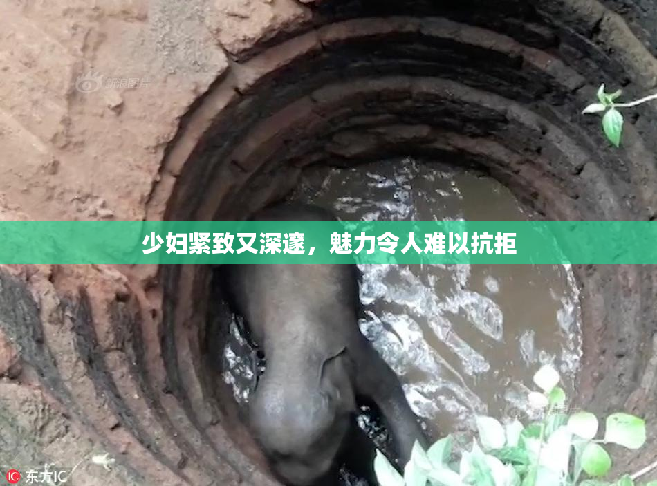 少妇紧致又深邃，魅力令人难以抗拒