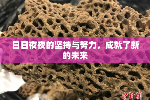 日日夜夜的坚持与努力，成就了新的未来